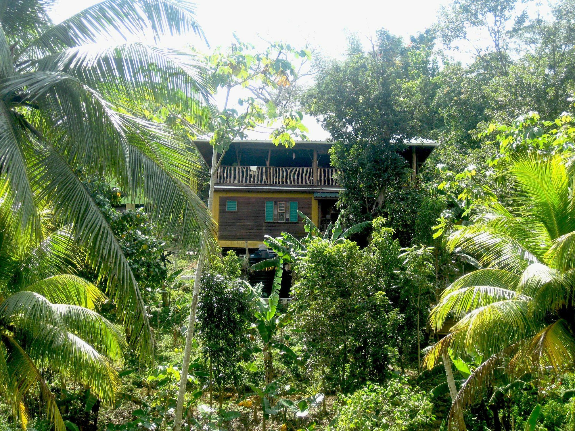 Zimbali Culinary Retreats Vila Negril Exterior foto