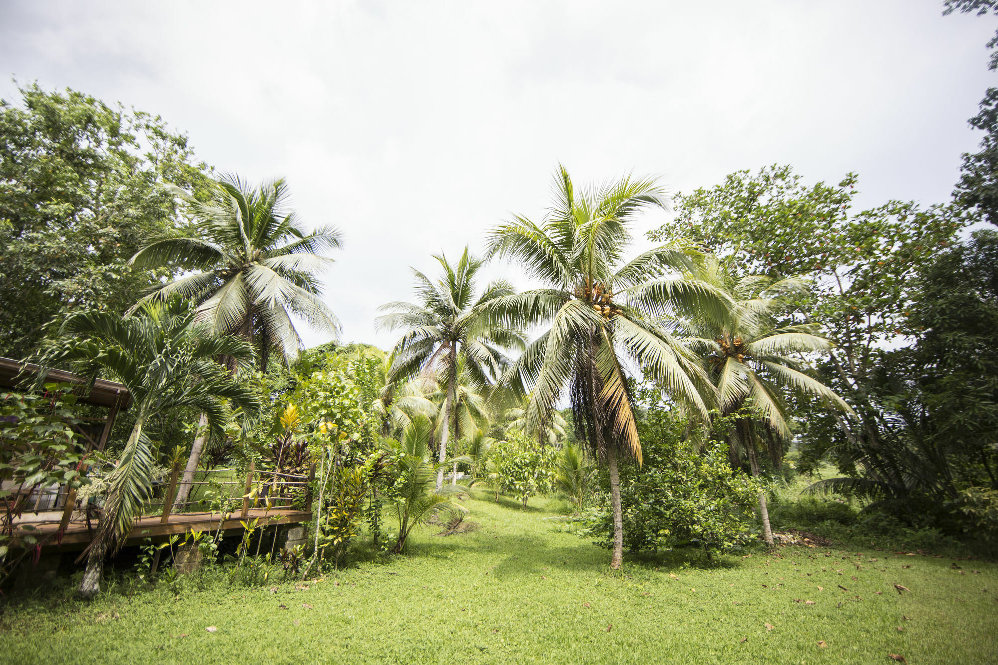 Zimbali Culinary Retreats Vila Negril Exterior foto