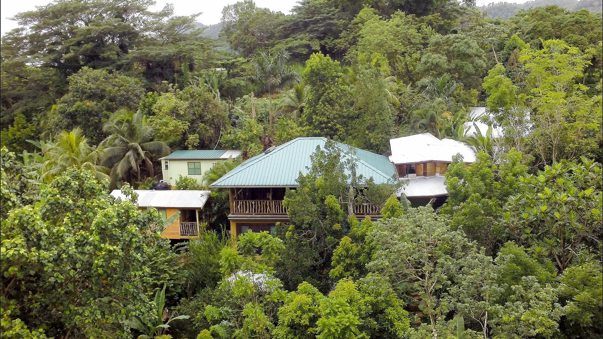 Zimbali Culinary Retreats Vila Negril Exterior foto